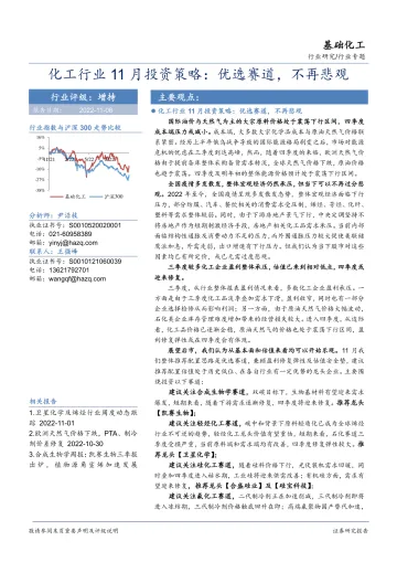 化工行业11月投资策略:优选赛道,不再悲观-20221108-华安证券-19页