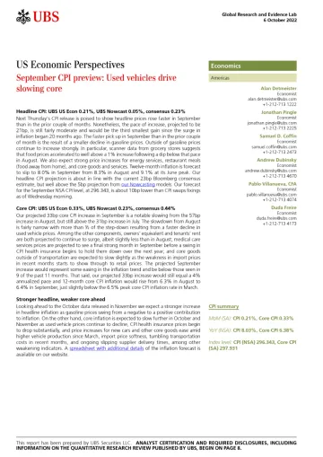 US economics Perspectives-September CPI preview