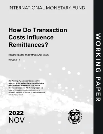 IMF-交易成本如何影响汇款(英)-2022.11-43页