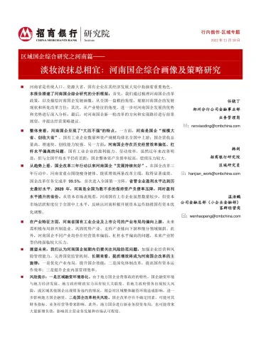 区域国企综合研究之河南篇:淡妆浓抹总相宜,河南国企综合画像及策略研究-20221118-招商银行-32页
