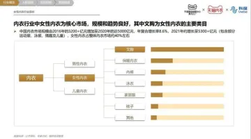 TMIC&有谋-内衣(文胸)行业趋势报告-2022.09-25页-WN9