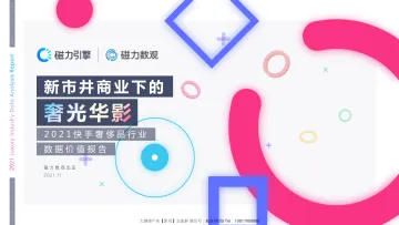 2021快手奢侈品行业数据价值报告-磁力数观-202112