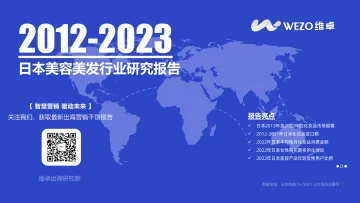 2013-2023日本美容美发行业研究报告-WEZO维卓-33页