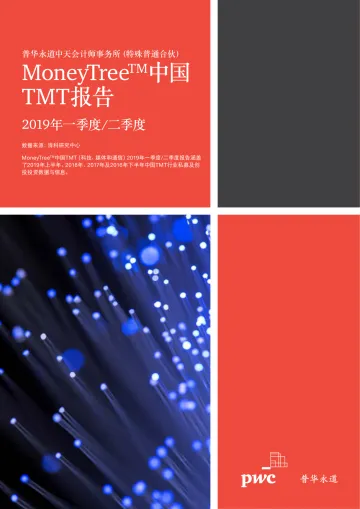 MoneyTree™中国TMT报告:2019年一季度_二季度