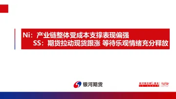 Ni:产业链整体受成本支撑表现偏强,SS,期货拉动现货跟涨,等待乐观情绪充分释放-20221023-银河期货-23页