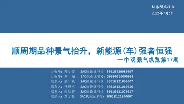 中观景气纵览第17期：顺周期品种景气抬升，新能源（车）强者恒强-20220706-华安证券-59页