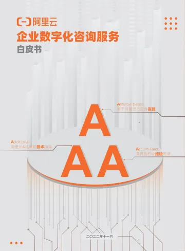 《企业数字化咨询服务白皮书》-30页