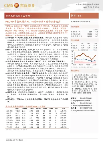 光伏行业系列报告(五十四):PECVD有望规模应用,相关供应商可能会显著受益-20220707-招商证券-16页