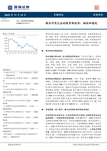 专题研究：俄乌冲突之后的俄罗斯经济，韧性和隐忧-20221112-国海证券-33页