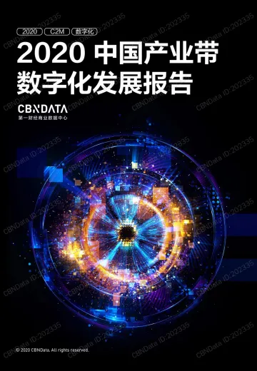2020中国产业带数字化发展报告