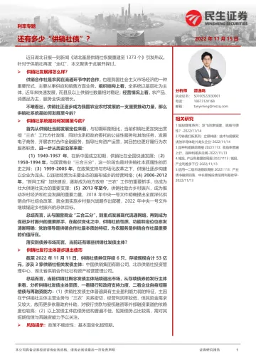 利率专题：还有多少”供销社债“？-20221115-民生证券-21页