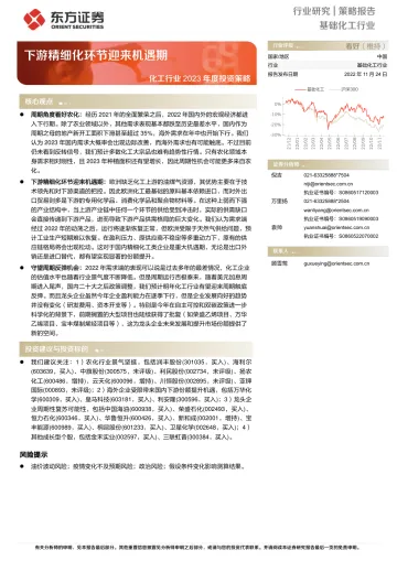 化工行业2023年度投资策略:下游精细化环节迎来机遇期-20221124-东方证券-39页
