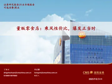 招商证券-商业行业量贩零食店:乘风性价比,爆发正当时-230604