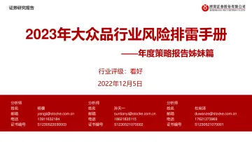 年度策略报告姊妹篇:2023年大众品行业风险排雷手册-20221205-浙商证券-33页