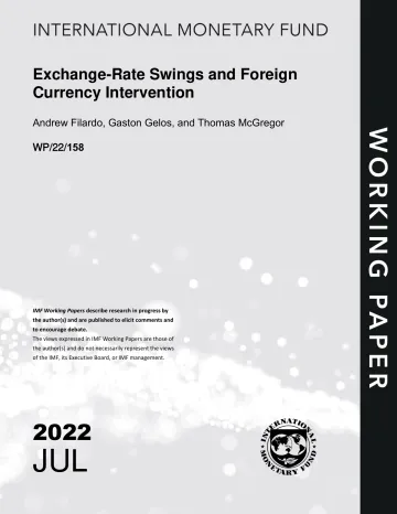 IMF-汇率波动和外汇干预(英)-2022.7-41页