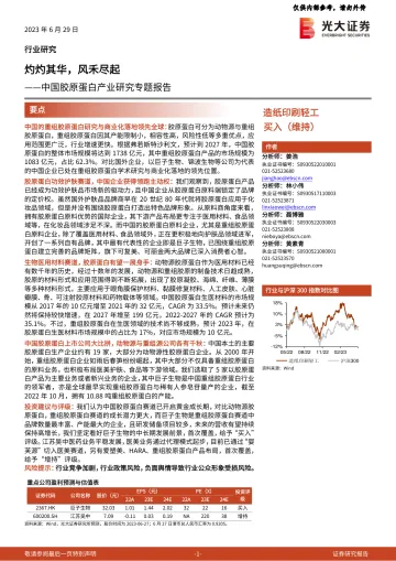 光大证券-造纸印刷轻工行业中国胶原蛋白产业研究专题报告:灼灼其华,风禾尽起-230629