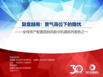全球资产配置国别风险与机遇系列报告之一:复盘越南,景气高位下的隐忧-20221107-申万宏源-29页