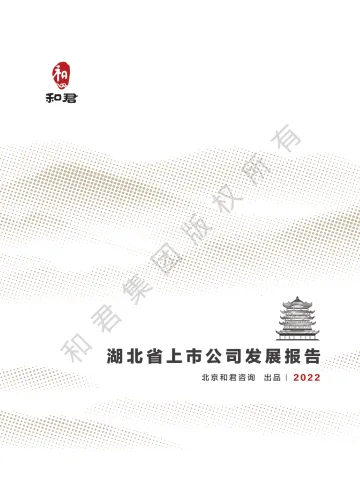 和君咨询-湖北省上市公司发展报告(2022年)-68页