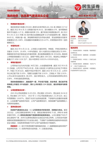 可转债打新系列:海优转债,优质景气赛道龙头企业-20220622-民生证券-15页