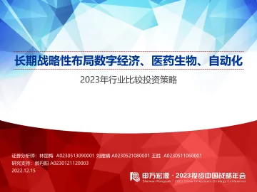 2023年行业比较投资策略:长期战略性布局数字经济、医药生物、自动化-20221215-申万宏源-104页