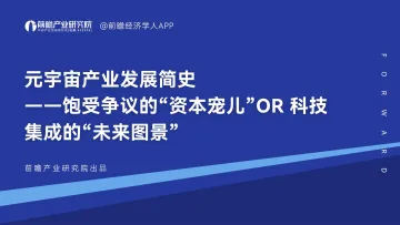 前瞻产业研究院-元宇宙产业发展简史 -- 饱受争议的“资本宠儿”OR 科技集成的“未来图景-41页