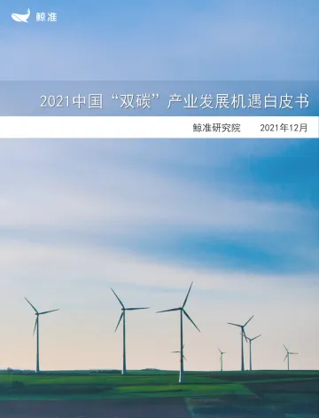 中国“双碳”产业发展机遇白皮书(2021年)-39页