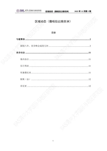 2022年12月第二期《区域动态》撒哈拉以南非洲地区-12页