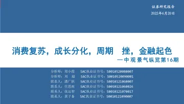 中观景气纵览第16期:消费复苏,成长分化,周期受挫,金融起色-20220620-华安证券-59页
