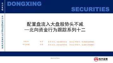 北向资金行为跟踪系列十二:配置盘流入大盘股势头不减-20220628-东兴证券-26页