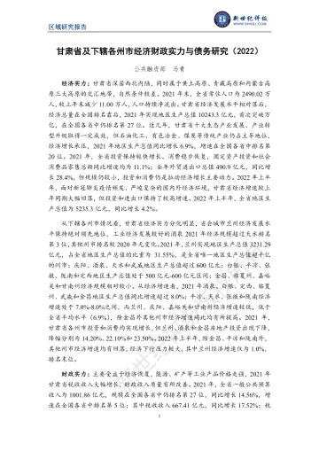 新世纪评级-甘肃省及下辖各州市经济财政实力与债务研究(2022)-25页