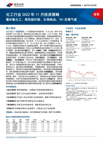 化工行业2022年11月投资策略:看好氟化工、高性能纤维、生物柴油、TDI的景气度-20221028-国信证券-28页