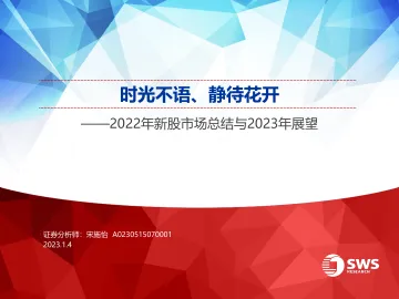 2022年新股市场总结与2023年展望:时光不语、静待花开-20230104-申万宏源-31页