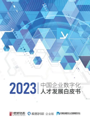 InfoQ:2023中国企业数字化人才发展白皮书-102页
