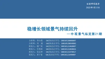 中观景气纵览第21期:稳增长领域景气持续回升-20220913-华安证券-33页