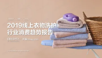 2019线上衣物洗护行业趋势报告