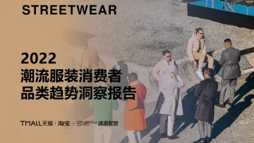 2022潮流服装消费者品类趋势洞察报告-淘宝天猫×清渠数智-28页-WN9