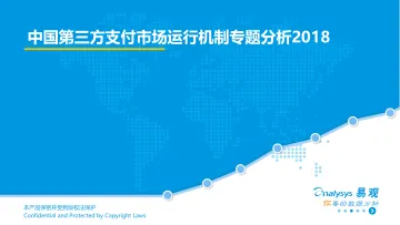 中国第三方支付市场运行机制专题分析2017(3)