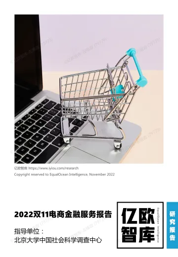 2022双11电商金融服务报告-34页