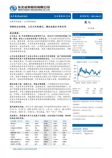 东北证券-旭升集团(603305)深耕铝合金领域,立足汽车轻量化,横向拓展打开新空间-230622