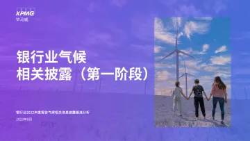 毕马威-银行业气候相关披露（第一阶段）-28页