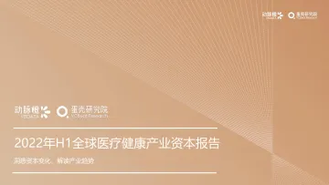 动脉橙-2022年H1全球医疗健康产业资本报告-30页-WN8