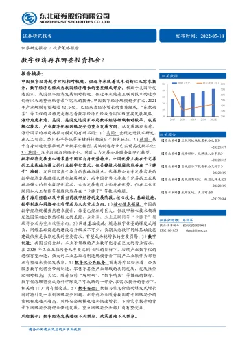 投资策略报告:数字经济存在哪些投资机会?-20220518-东北证券-19页