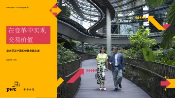 《在变革中实现交易价值 – 亚太区及中国的价值创造之道》-19页