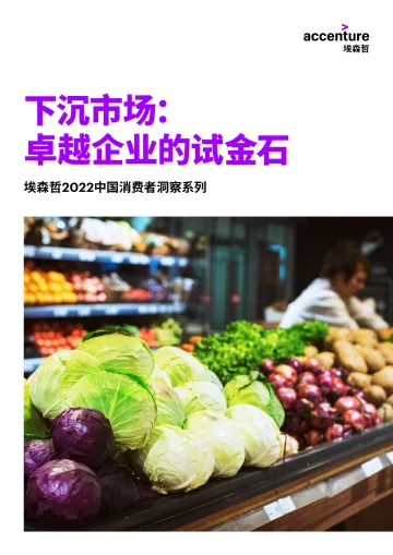 2022中国下沉市场消费者洞察-27页