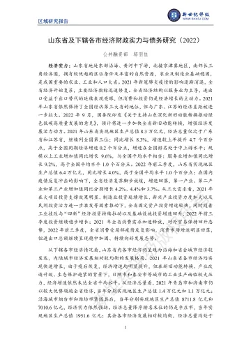新世纪评级-山东省及下辖各市经济财政实力与债务研究(2022)-32页