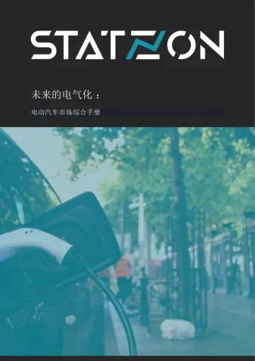 Statzon-未来的电气化—电动汽车市场综合手册-2023.09-38页-WN10
