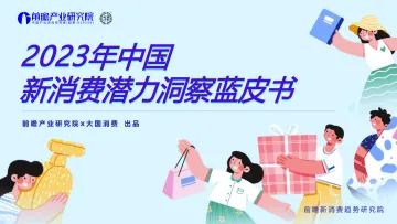 2023年中国新消费潜力洞察蓝皮书-前瞻产业研究院-2023-81页