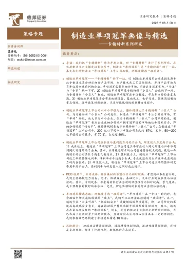 专精特新系列研究:制造业单项冠军画像与精选-20220808-德邦证券-19页