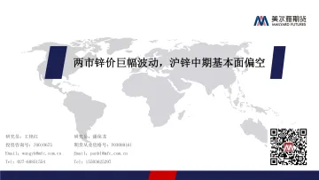 两市锌价巨幅波动,沪锌中期基本面偏空-20220314-美尔雅期货-17页