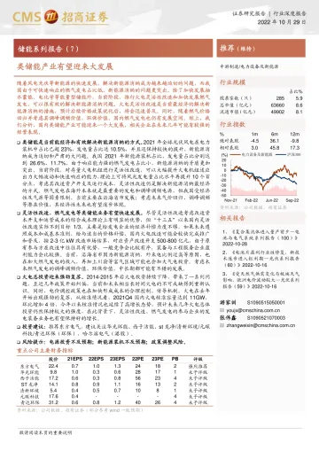 电力设备及新能源行业储能系列报告(7):类储能产业有望迎来大发展-20221029-招商证券-25页